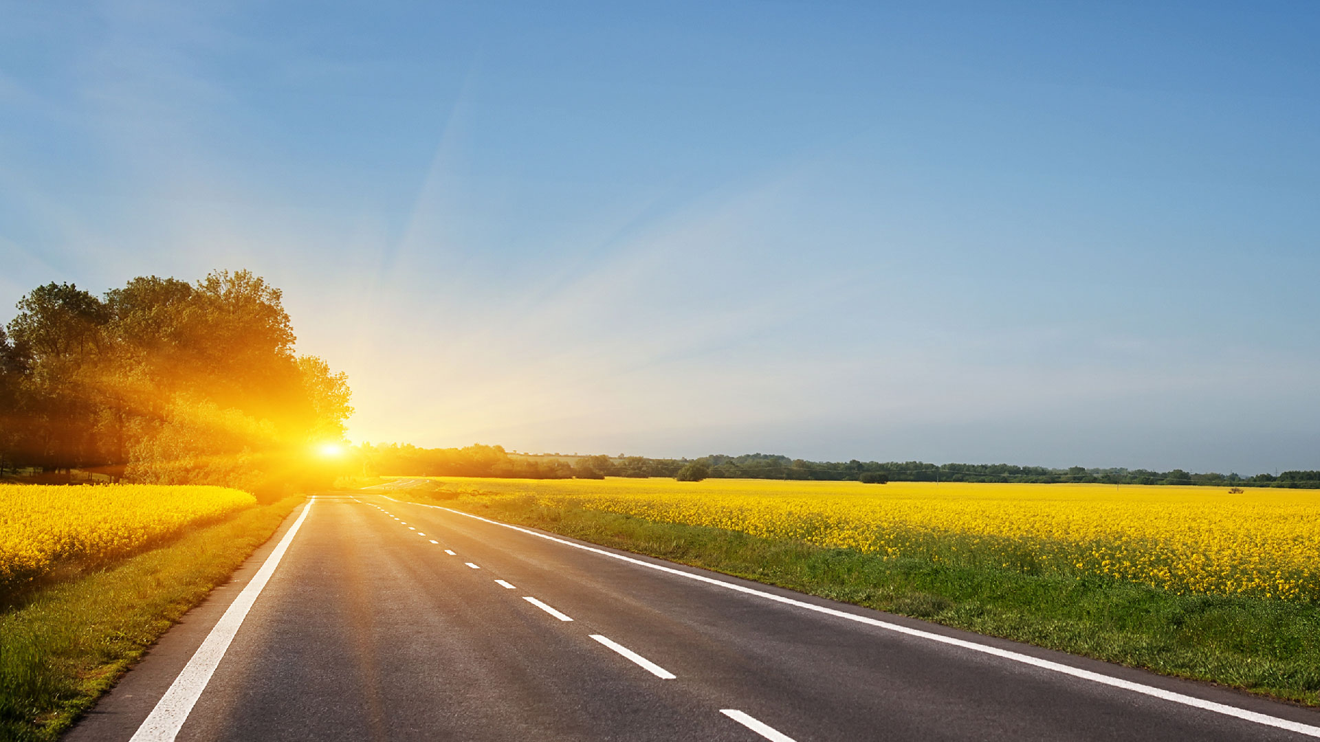 Sunny highway with fields